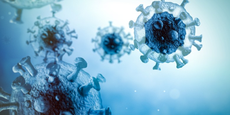 'Zombie’ virus revived after 50,000 years trapped in Siberian permafrost