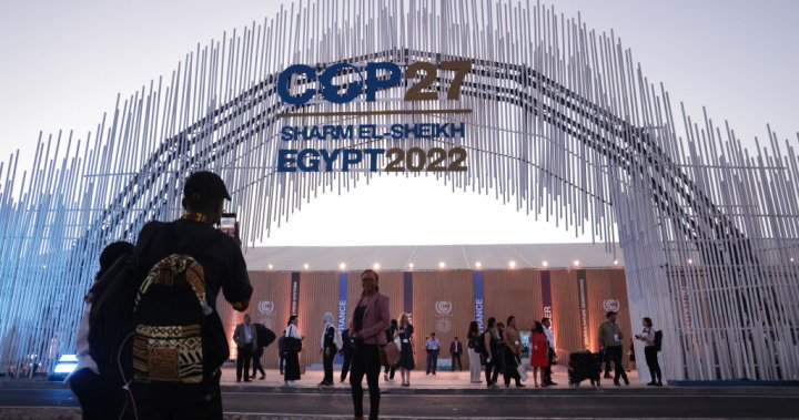 COP27: Canadian delegation set to talk about oceans’ role in fighting climate change