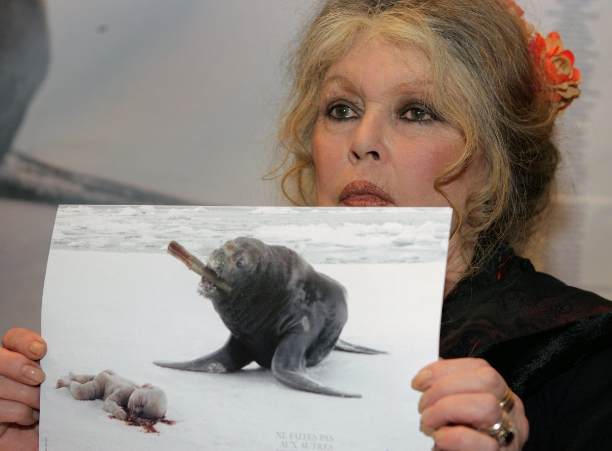 Actor and activist Brigitte Bardot urges Longueuil mayor to stop deer cull  - Montreal 