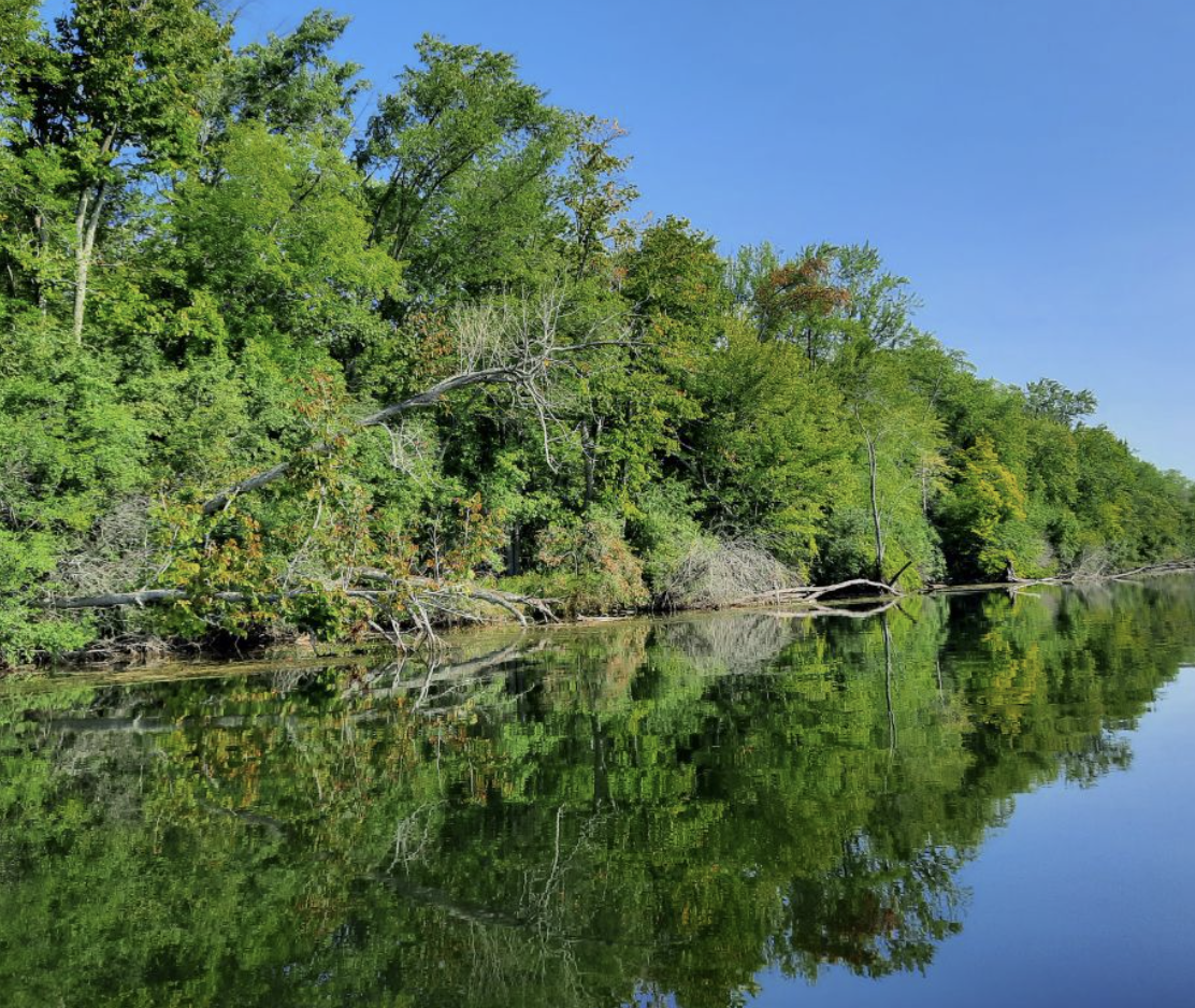 Shoreline of Kawartha Land Trust’s new Otonabee River Property, secured with support from the Nature Smart Climate Solutions Fund.