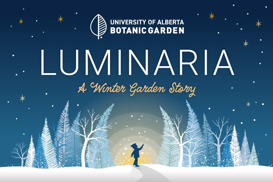 Global Edmonton supports: Luminaria A Winter Garden Story - image