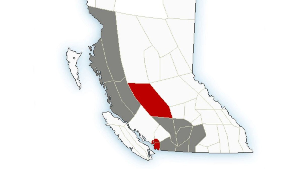 A map of B.C. on Saturday, Nov. 5, 2022, showing snowfall warnings in red and areas under special weather statements.
