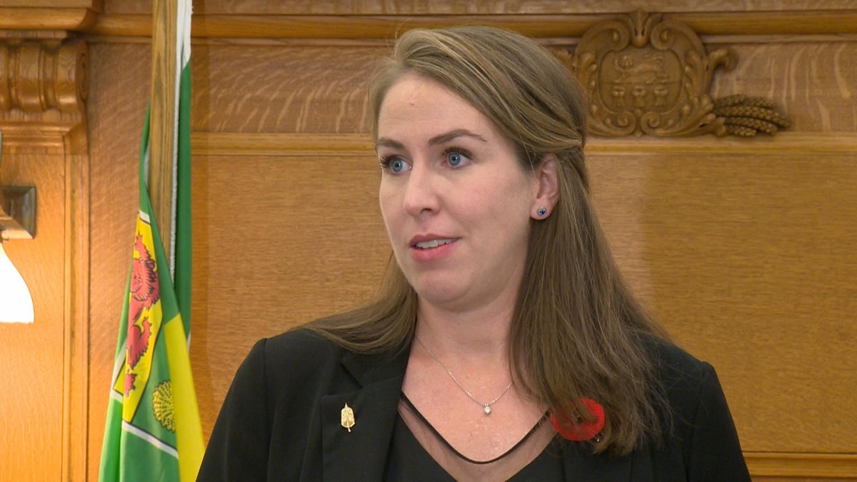 SaskPower critic Aleana Young says an independent consumer advocate for power and utilities would assist Saskatchewan residents during the affordability crisis.