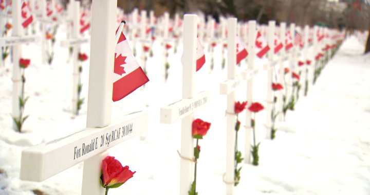 Field of Crosses ceremony to mark 80th anniversary of Dieppe, 105 years since Vimy Ridge