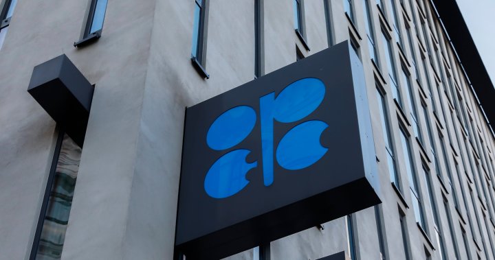 Saudi Arabia says OPEC+ sticking with oil output cuts despite reports