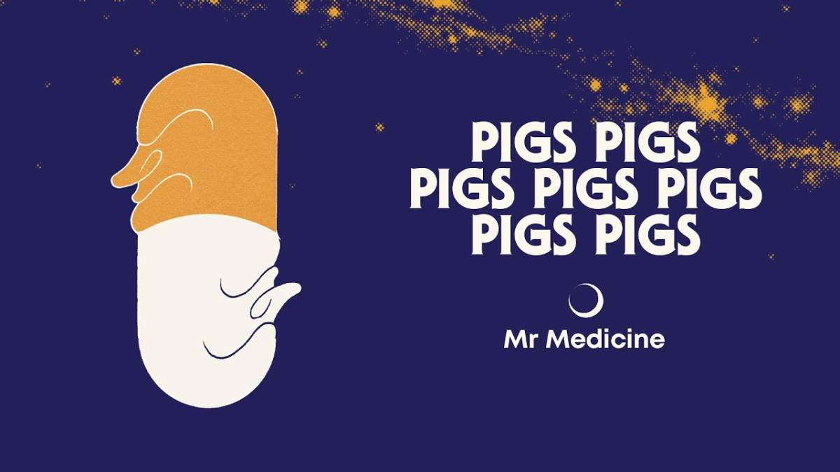 5 songs you must hear this week: 15 November 2022 - image