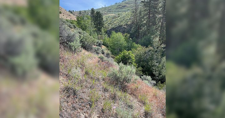 Conservation society purchases 16 hectares in South Okanagan