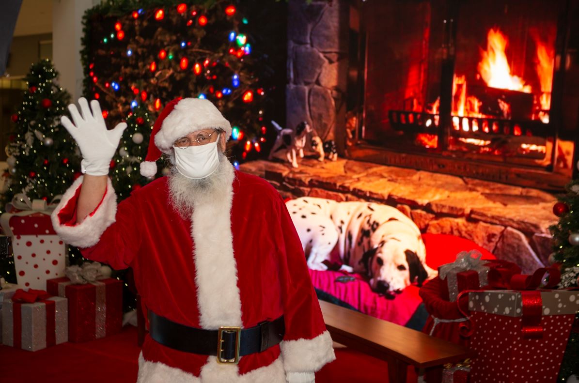 Pet photos with Santa - image