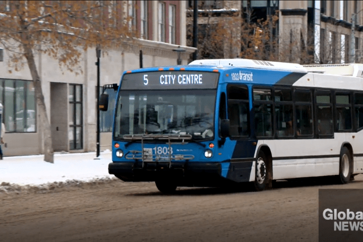 Tried and tested: Saskatoon seeking public feedback on eliminating child transit fares