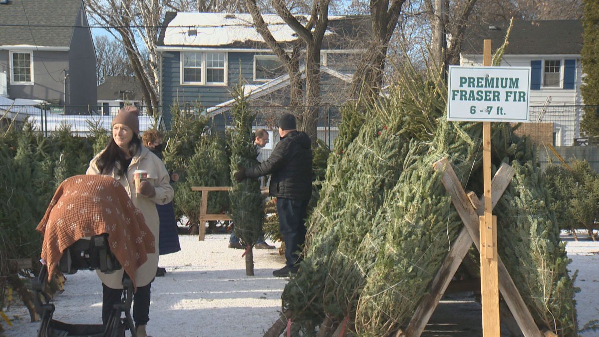People lined up on Saturday to get a Christmas tree at the annual tree sale hosted by Winnipeg's 67th Scout Group.