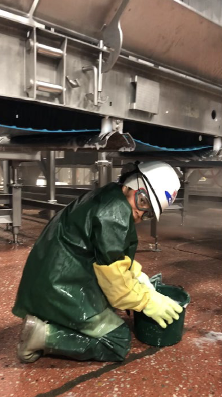 PSSI employee who appears to be a minor working in the "Ground Beef room" of a meat packing plant in Nebraska