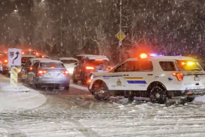 One year post ‘Snowmageddon’ in B.C.’s Lower Mainland, has anything changed?