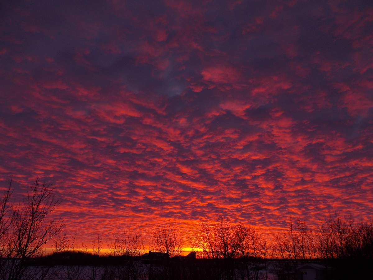 The November 30 Your Saskatchewan photo of the day was taken by Brad Howe at Humboldt Lake.
