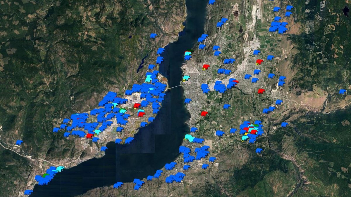 A map from WildSafeBC showing bear sightings across the Central Okanagan this year, from Jan. 1 to Nov. 24.