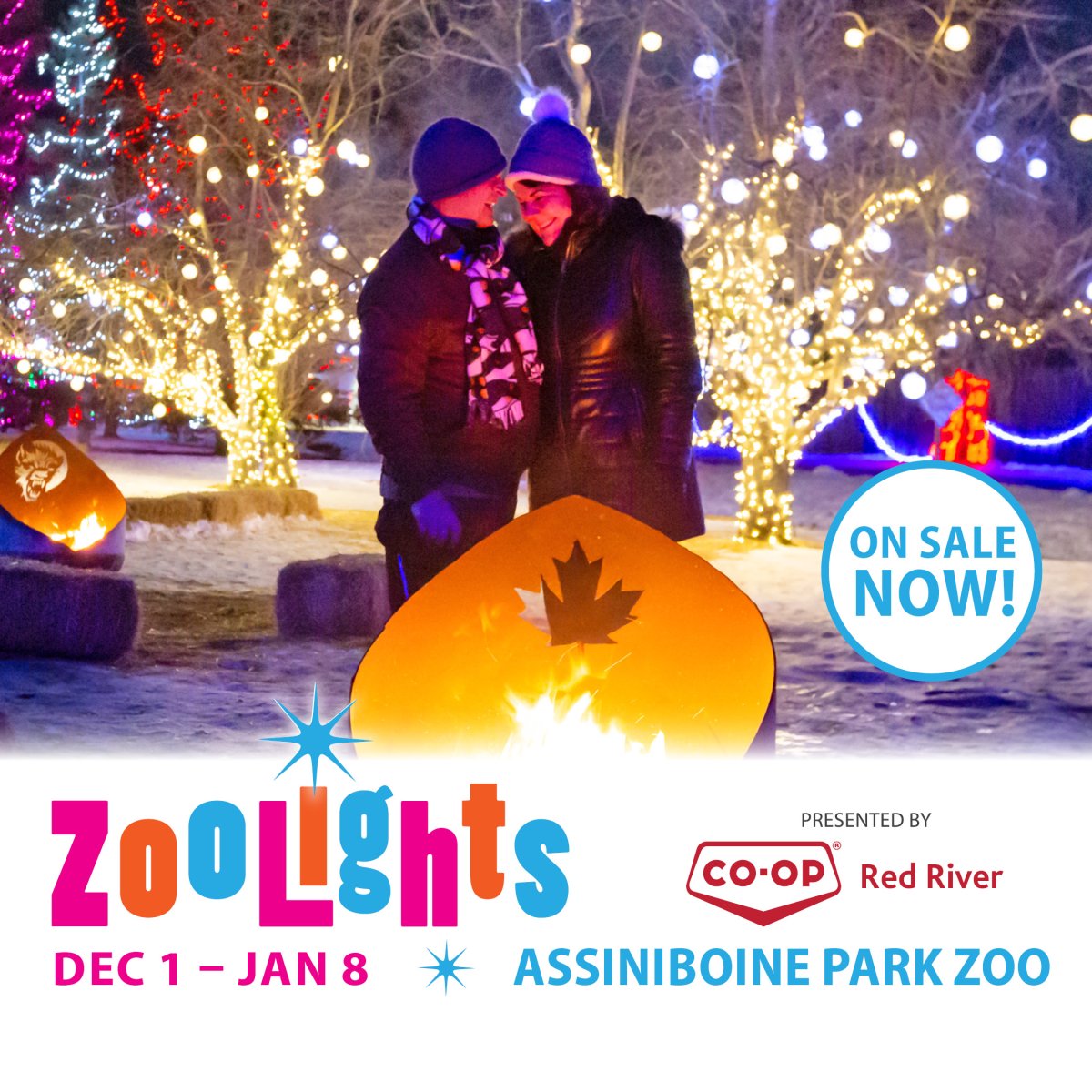 Zoo Lights GlobalNews Events