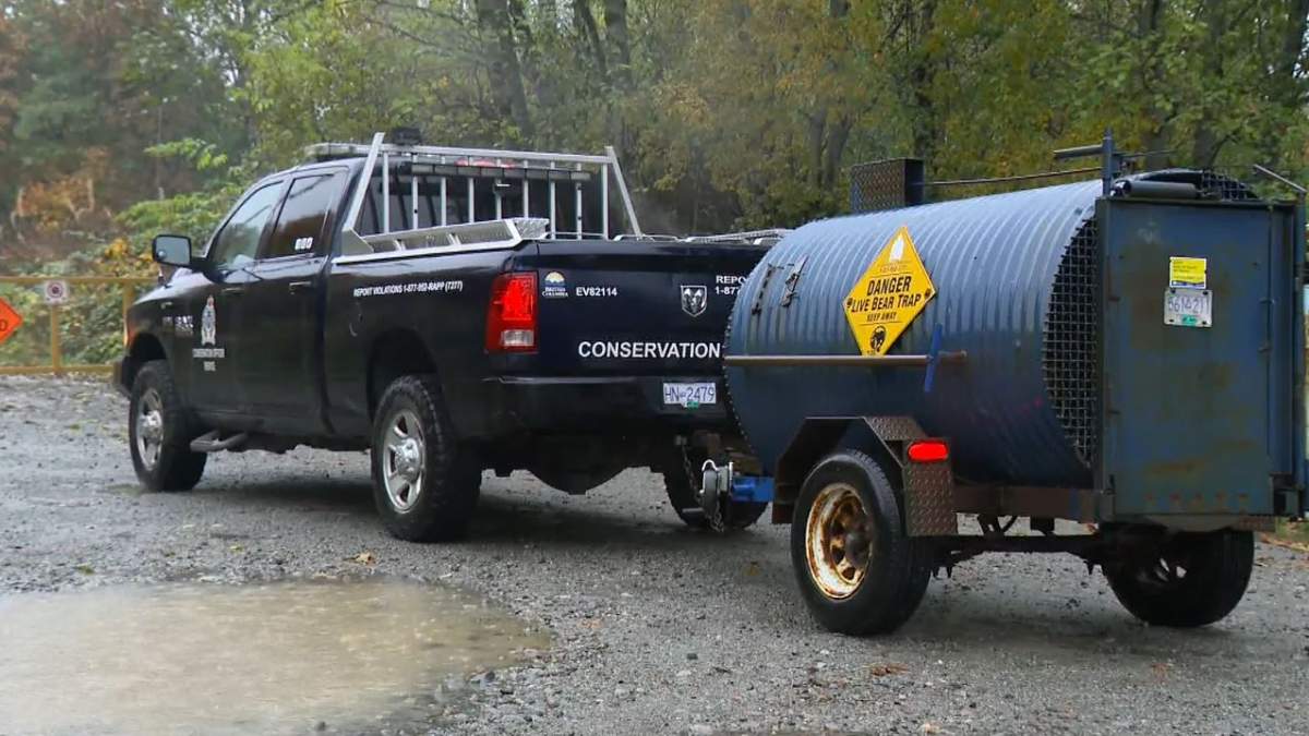 Conservation officers are conducting an investigation in the area.