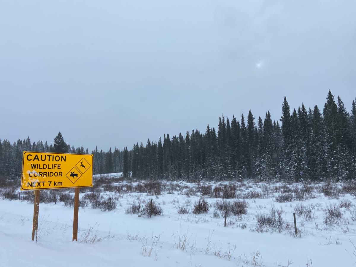 Highway sign cautioning drivers.