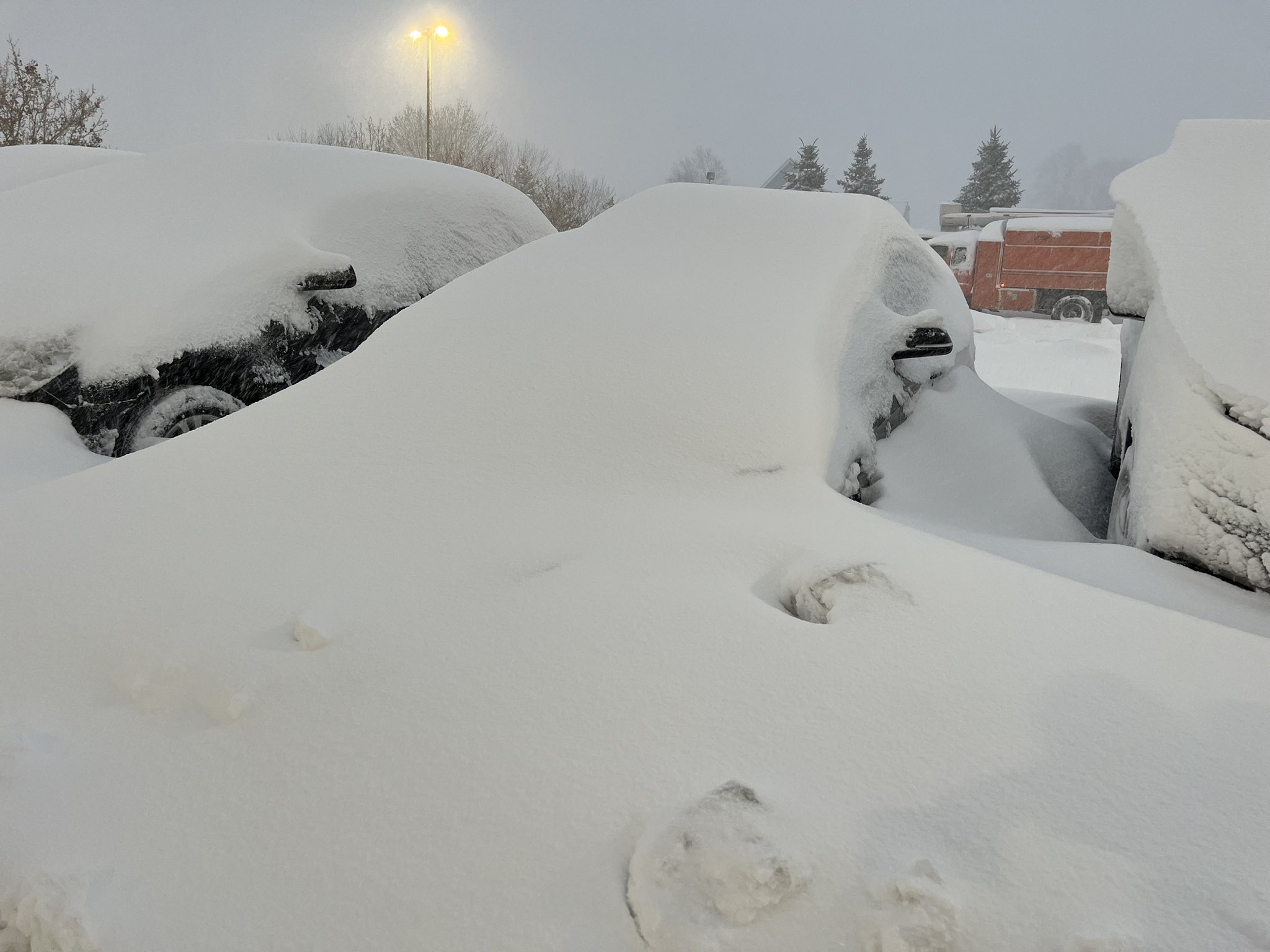 PHOTOS: The Snow Day Lives in Buffalo After a Massive Storm