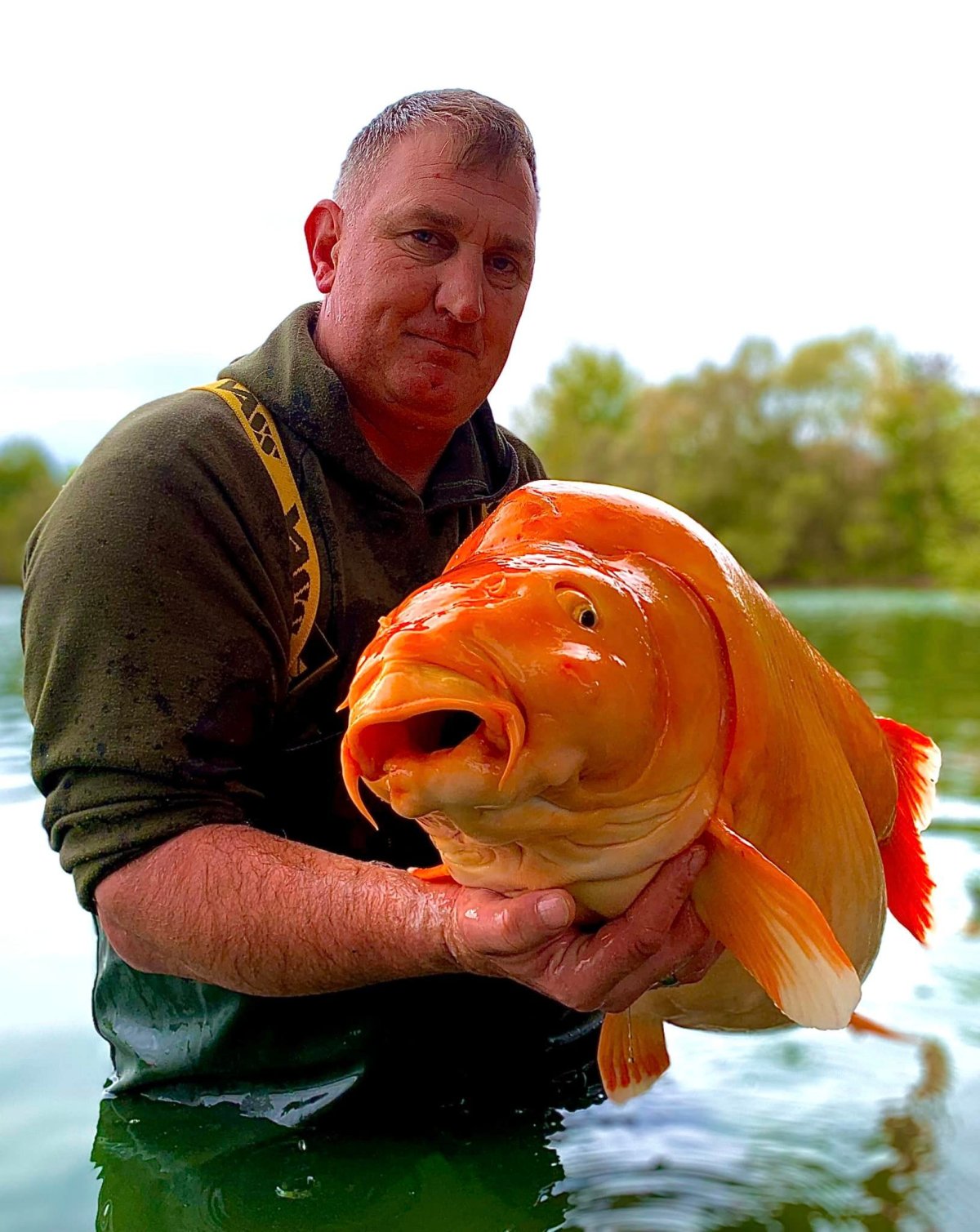 Angler reels in massive 67-pound goldfish named 'The Carrot' - National