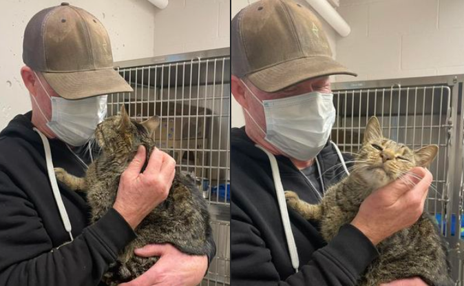 Hobbes the cat is reunited with his owner after 3.5 months lost in the wilderness. 