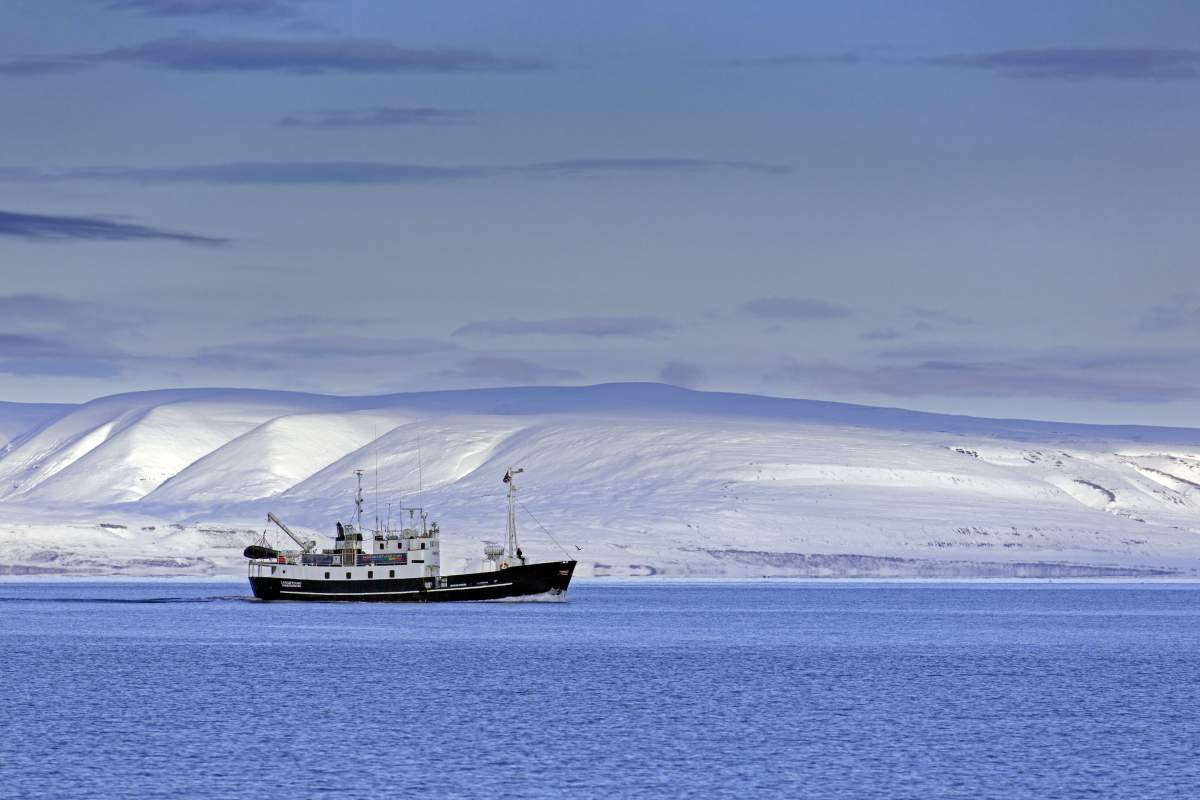 A boat carrying tourists sails past snow-covered mountains during a fjord cruise in Norway.