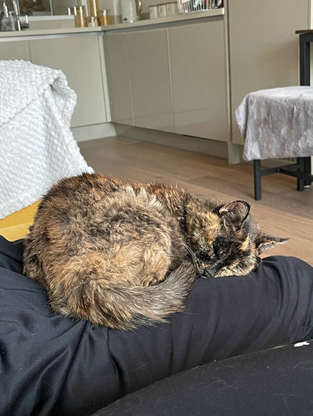 Flossie the cat sleeping in Green's lap, a favourite pastime.