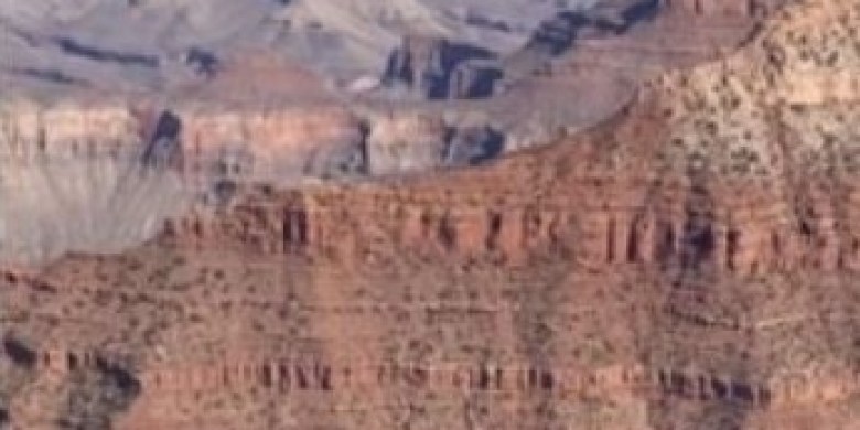 Influencer who hit golf ball into Grand Canyon slapped with fine