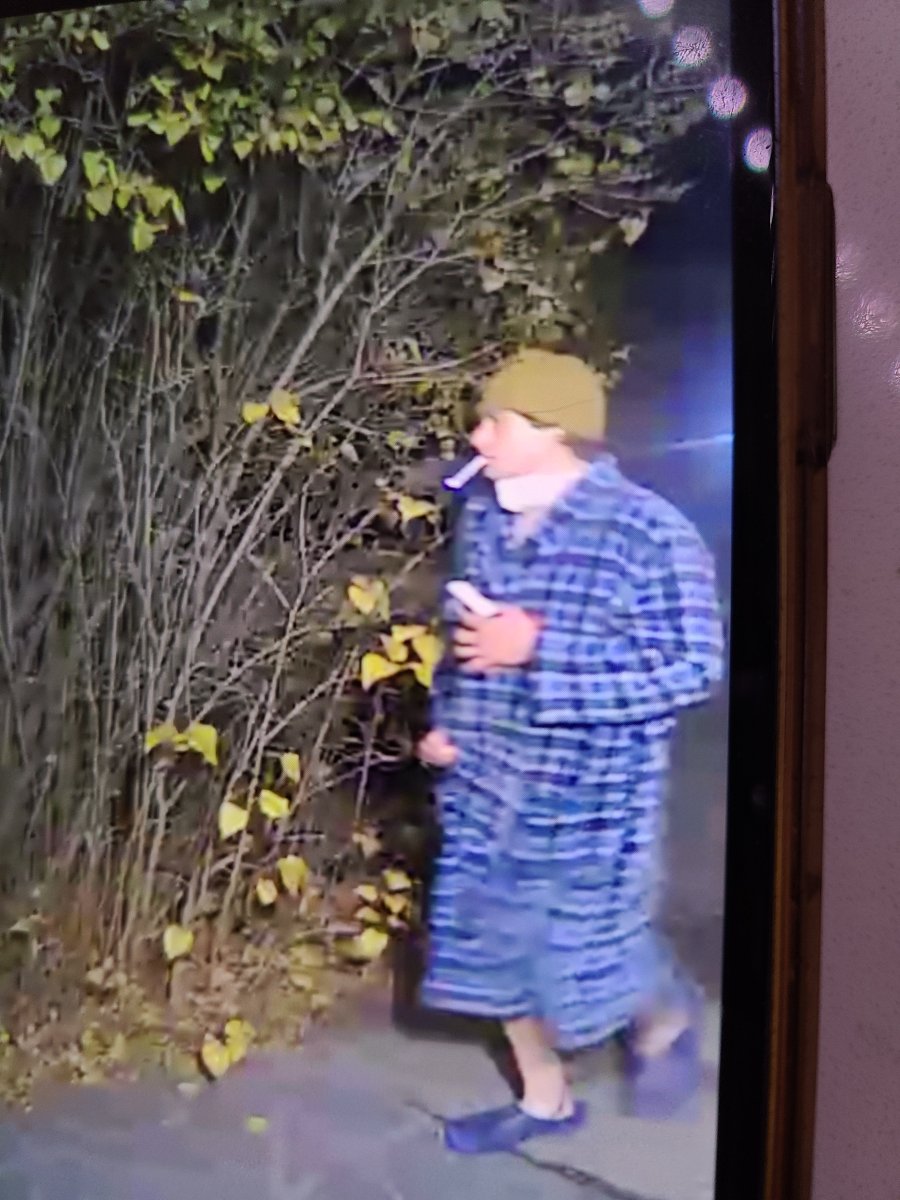 The concerning video footage was taken in the the 1900 block of Lindahl Street, Kelowna, between Oct. 27 and Nov. 2.  .