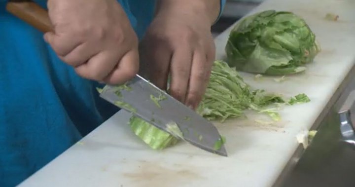 Pricy lettuce just the tip of the iceberg for Alberta consumers