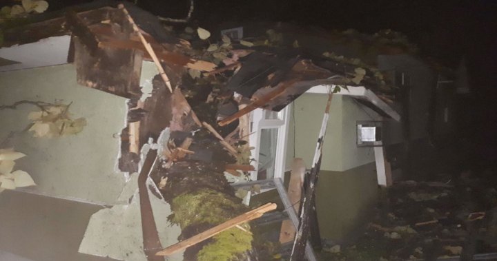 B.C. windstorm leaves family in Maple Ridge homeless after tree destroys home