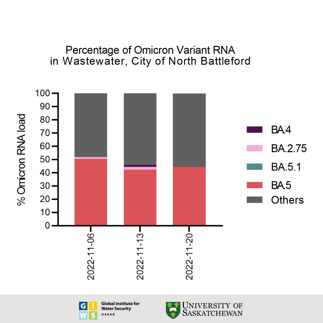 Percentage of Omicron variant RNA found in the wastewater in North Battleford.