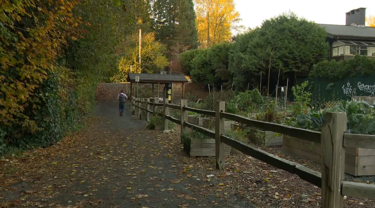 North Vancouver RCMP say a 12-year-old girl was walking in this area on Halloween afternoon when she was followed by a suspicious man. 