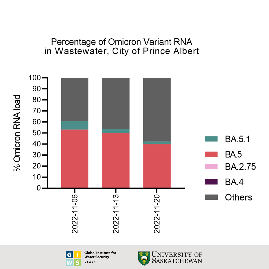 Percentage of Omicron variant RNA in the wastewater in Prince Albert.