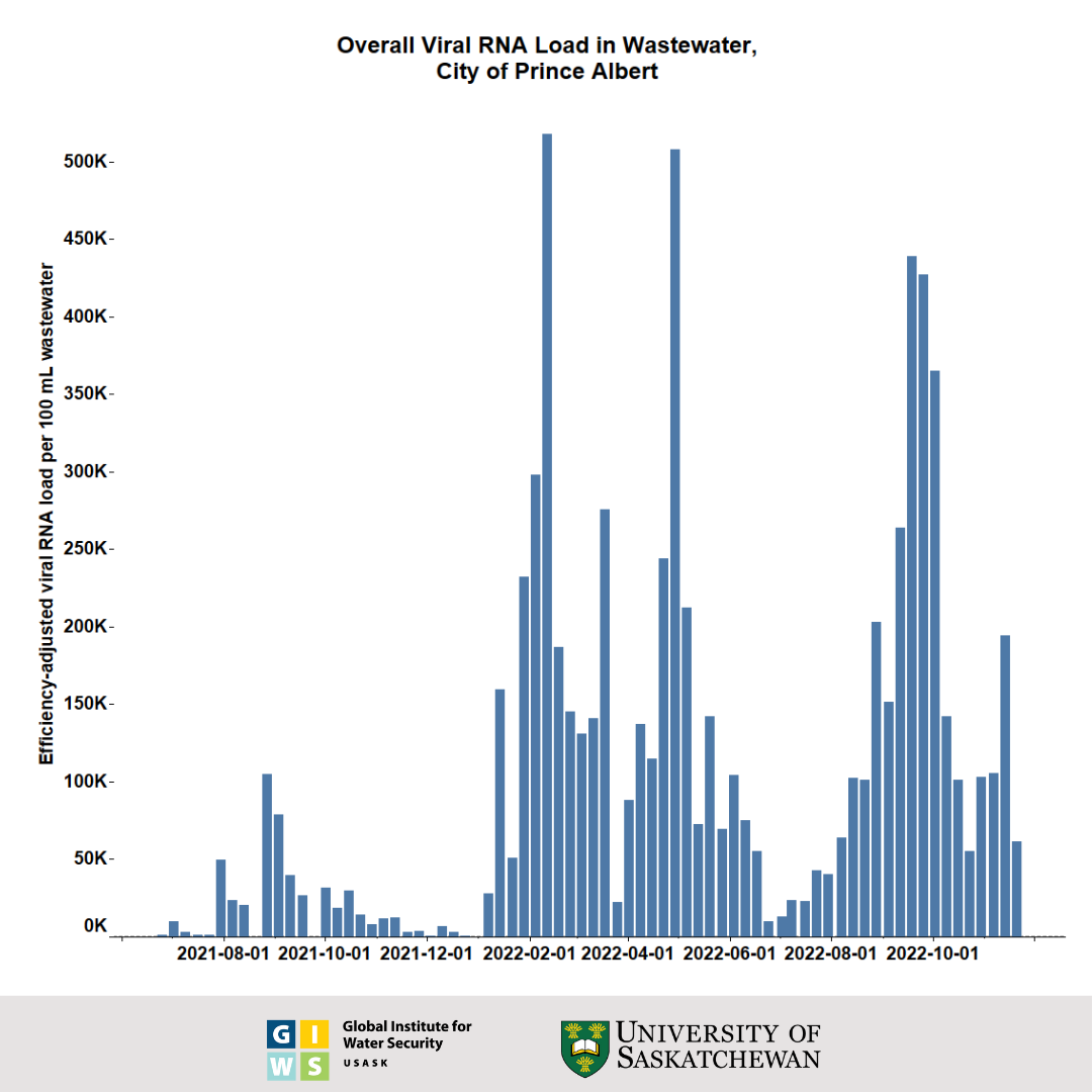 Overall viral load found in the wastewater in Prince Albert.