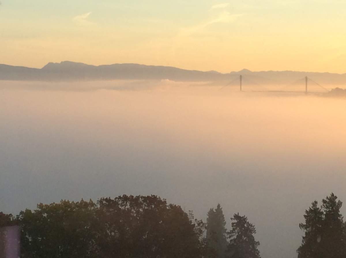 The Port Mann Bridge in the fog.