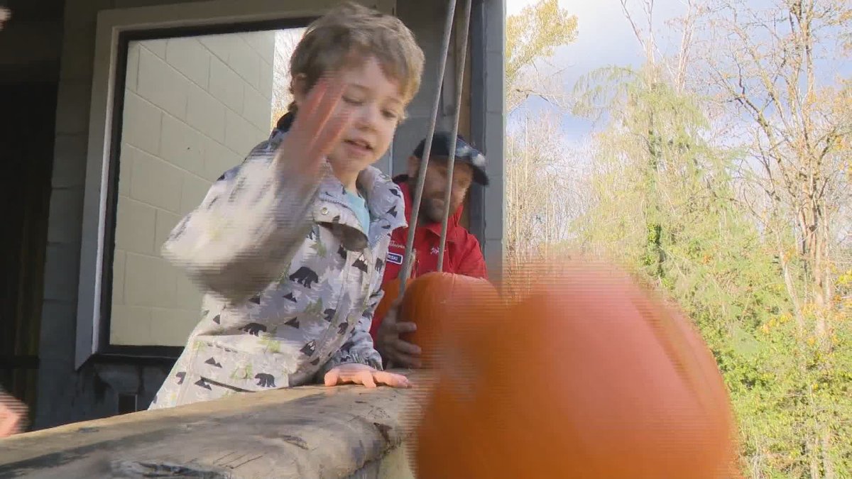 Kids were happy letting their pumpkins smash from a hose tower in North Vancouver.