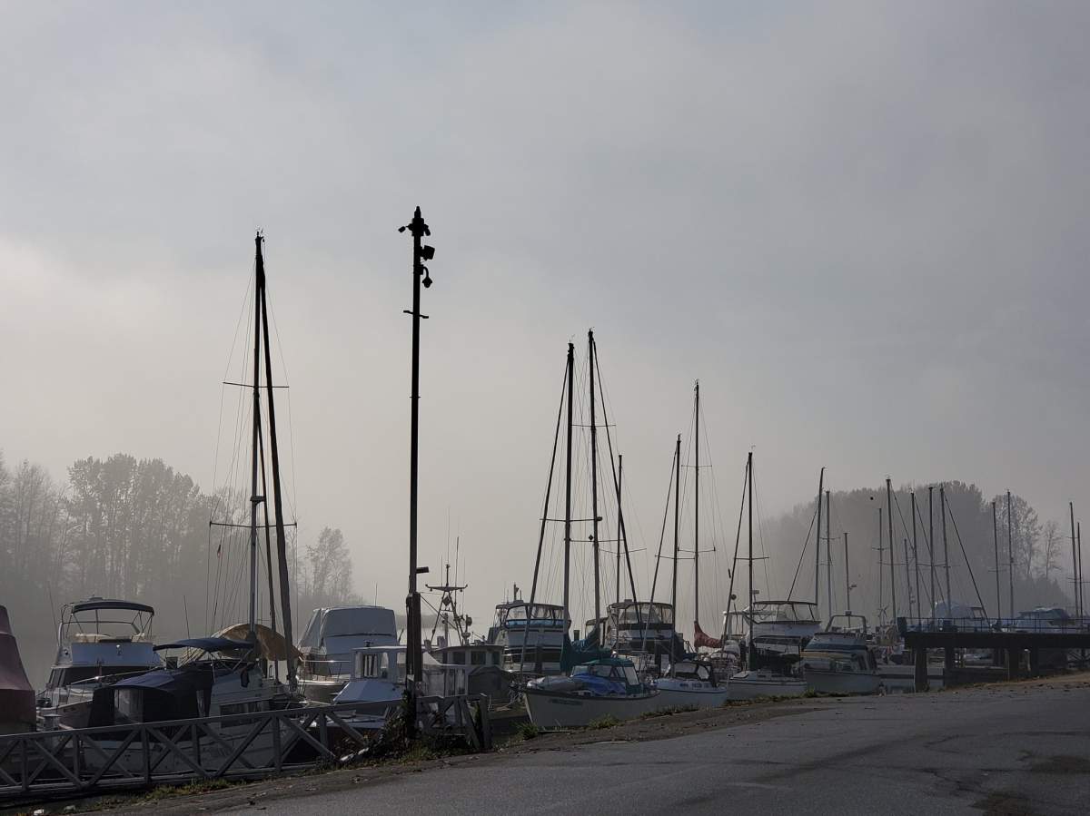 Fog by the Fraser River on the east side of Richmond.