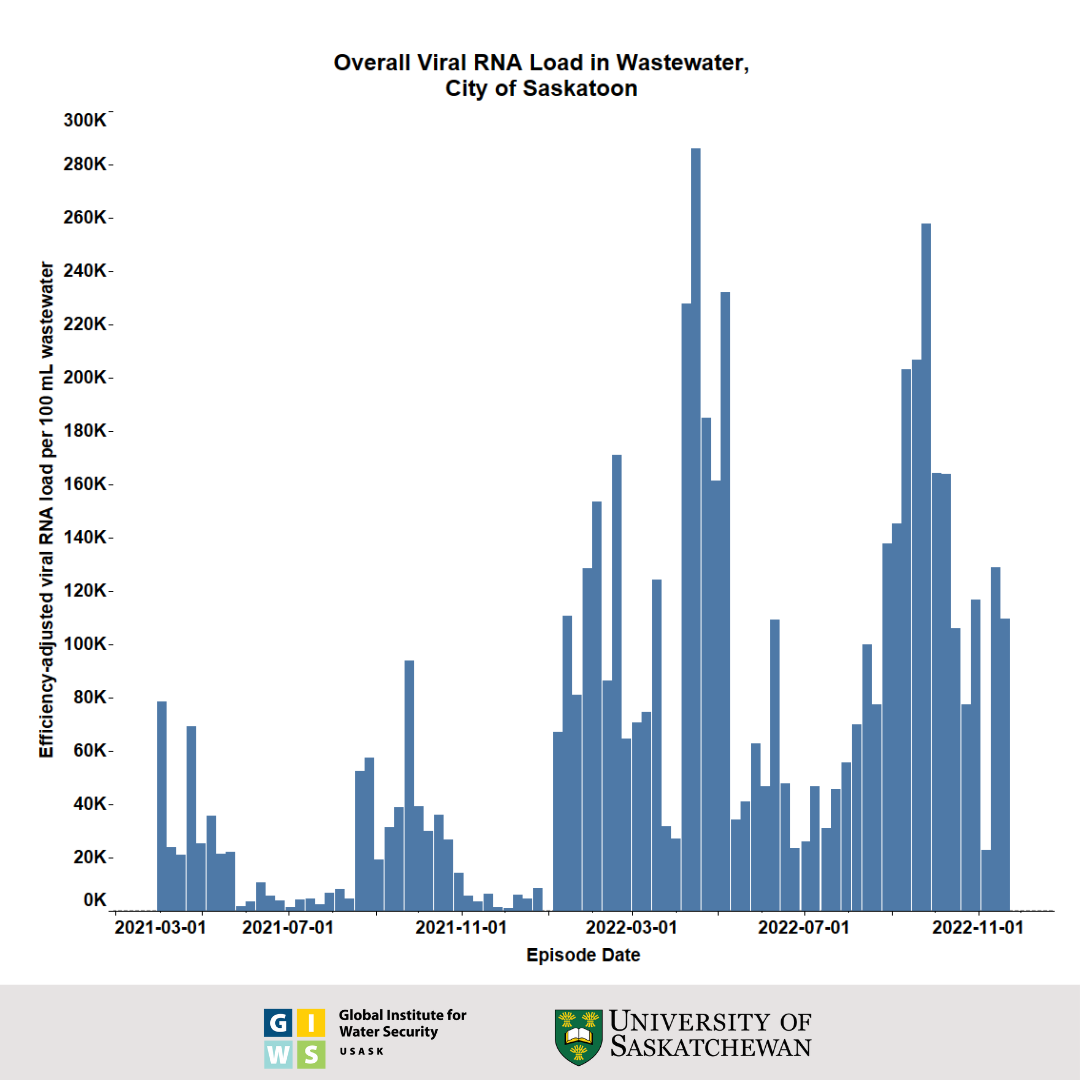 Overall viral load found in the wastewater in Saskatoon.