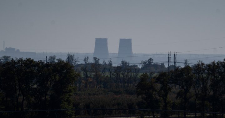 Russian shelling damages power lines at Zaporizhzhia nuclear plant, Ukraine says