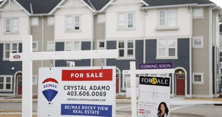 November home sales down 20%, year to date sales on track for record: Calgary board