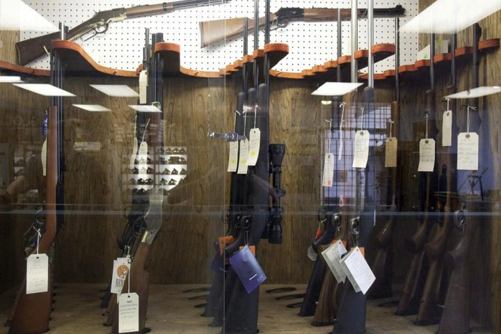 Controversial firearms bill loses amendment critics say hit hunting rifles