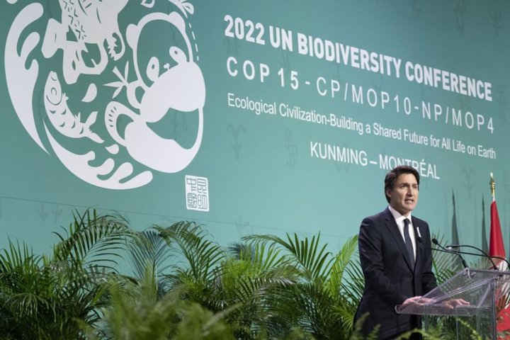 Efforts to protect nature at COP15 will fail without Indigenous people, leaders say