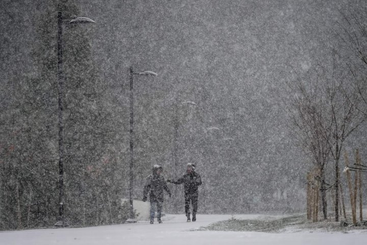 London, Ont. region under snow squall watch, 10-15 cm expected Sunday