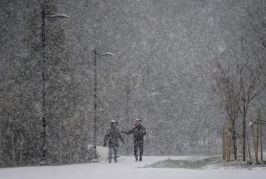 Heavy snow falls as pedestrians walk through Central Park in Burnaby, B.C., on Tuesday, Nov. 29, 2022. THE CANADIAN PRESS/Darryl Dyck.