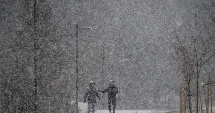 Лондон, Онтарио регион под наблюдение за снежен шквал, 10-15 см се очаква в неделя