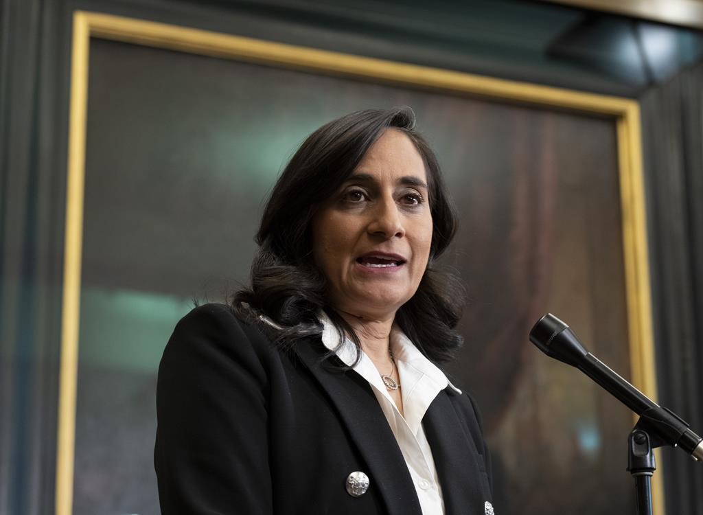 Canada supports U.S. decision to shoot down suspected Chinese spy balloon, Anand says – National | 24CA News