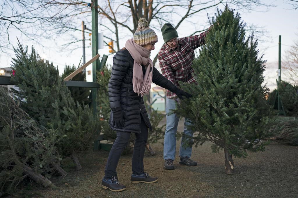 Last-minute Christmas tree shoppers are finding the task more difficult than expected as Manitoba's supply is nearly depleted.