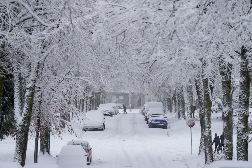 A file photo of a snowy winter day in Calgary.