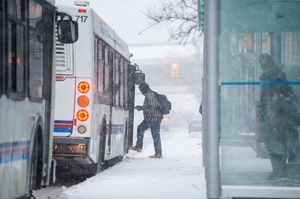 Recent assault on Winnipeg transit bus sparks calls for improved safety measures