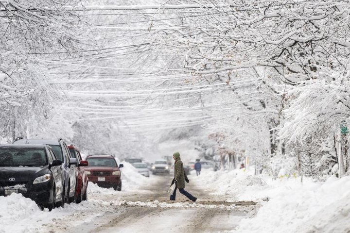 Winter storm warning issued for London, Ont. region: Environment Canada